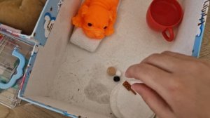 утро собачек 💗/1 часть