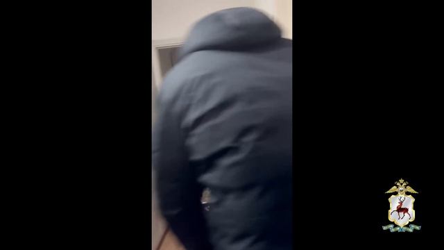 Полицейские установили личности участников инцидента, произошедшего в одном из кафе на Бору смотреть онлайн