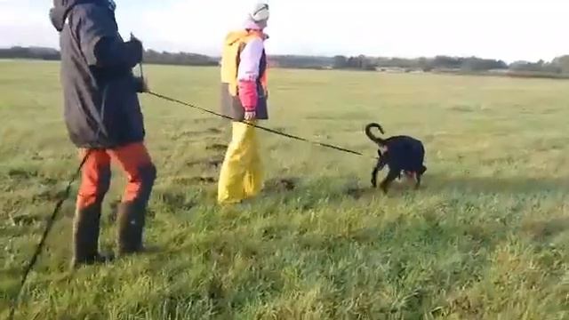 IMG 3516 Лёлик Жиркеви след 102020 смотреть онлайн