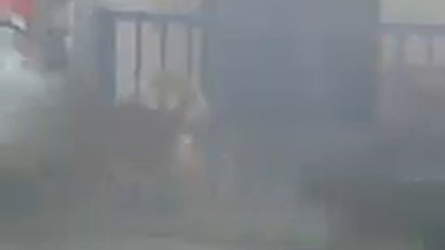 Parenje pasa смотреть онлайн