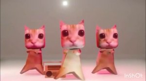 Котики танцуют под фонг-фонк капибара