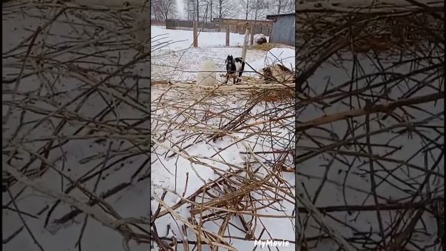 Управа по хозяйству смотреть онлайн