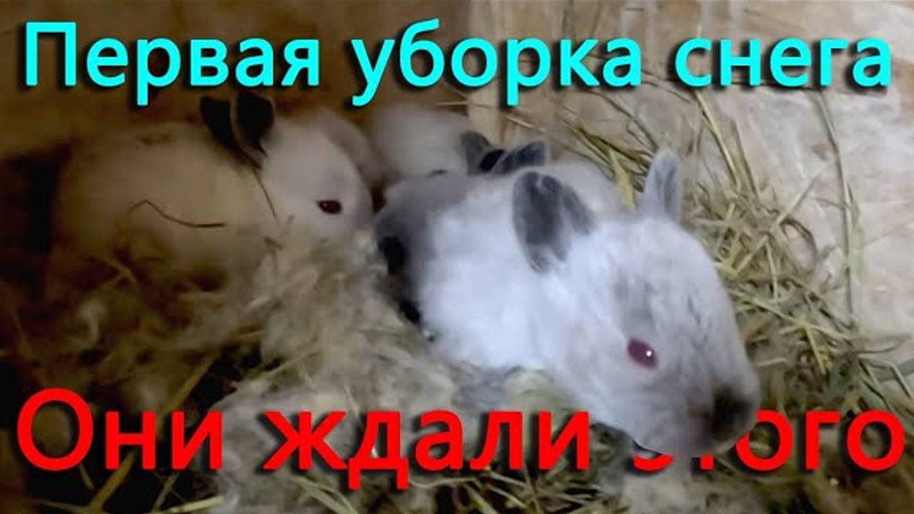 Он прописался у нас и оказался в отделе. Готовимся отправлять письма. Они только этого и ждали. смотреть онлайн