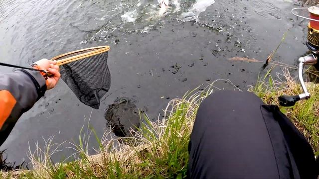 Противостояние силикона и воблеров на прудах