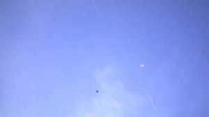 Бойные голуби КАЗАХСТАНА.Набираем игру. Протяжка. столб с греблей . с боем.