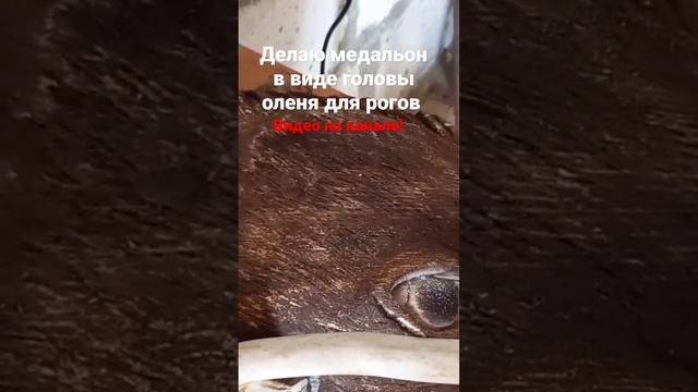 Изготовление медальона в виде головы оленя для рогов своими руками с помощью бор машинки смотреть онлайн