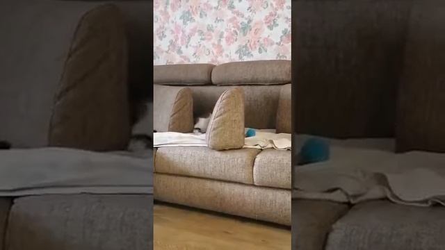 Вакса и Максир дома 3 смотреть онлайн
