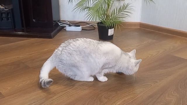 😱😪ОБИДЕЛАСЬ..,И УШЛА! смотреть онлайн