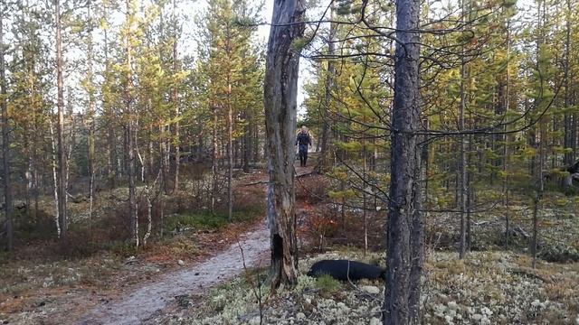 ЕТУ - ЯХА Барсуки смотреть онлайн