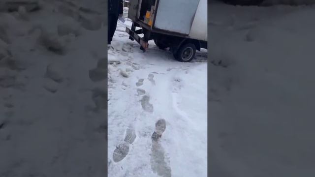 Заказали влажный корм 🐾 смотреть онлайн