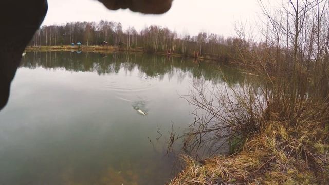 Закрытие сезона прудовой ловли