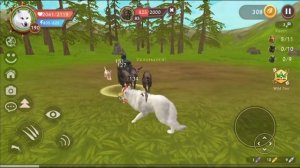 КАК БЫСТРО ПРОКАЧАТЬСЯ ОТ 1 до 200 LVL"A | мои способы прокачки в WildCraft