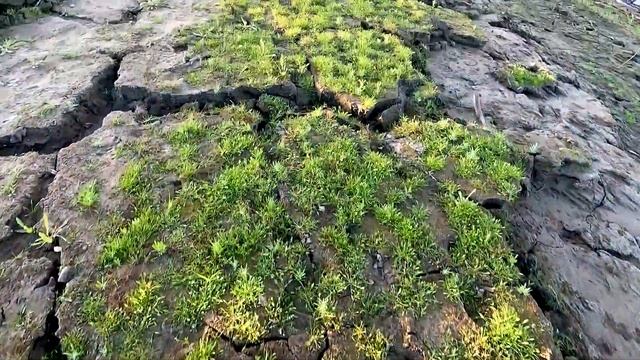 Трудовая рыбалка на сломе погоды