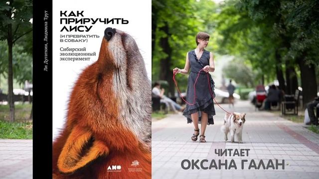 Книга «Як приручити лисицю (і перетворити на собаку)» - читає Оксана Галан смотреть онлайн