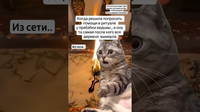 #эзотерика #магия #ведьма #таро #колдовство #ритуал смотреть онлайн