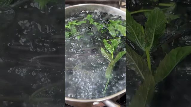 Кухня для всех поклонников