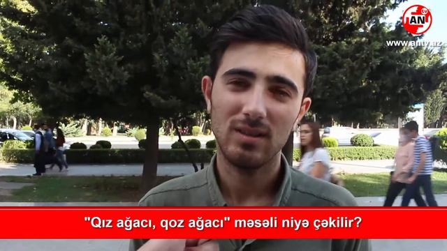 "Qız ağacı qoz ağacı" misalı niyə çəkilir? - SORĞU смотреть онлайн