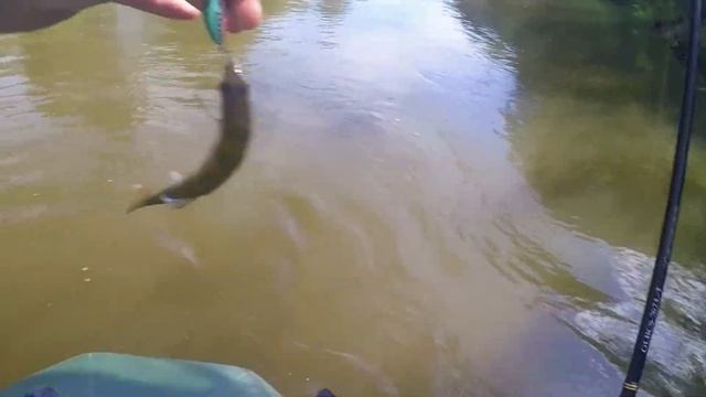 Очередные сплавы на малых реках