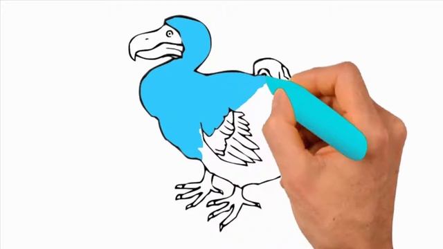 Dodo bird drawing - How to draw dodo bird step by step kids drawing