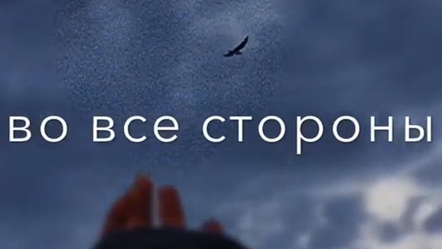 🖤дикий сад🕊🤞 смотреть онлайн