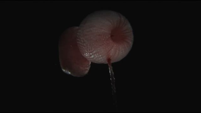 PHOTON: BEST SCIENCE MOVIE EVER CREATED