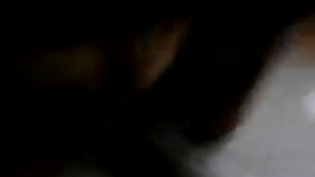 Котопёс! смотреть онлайн