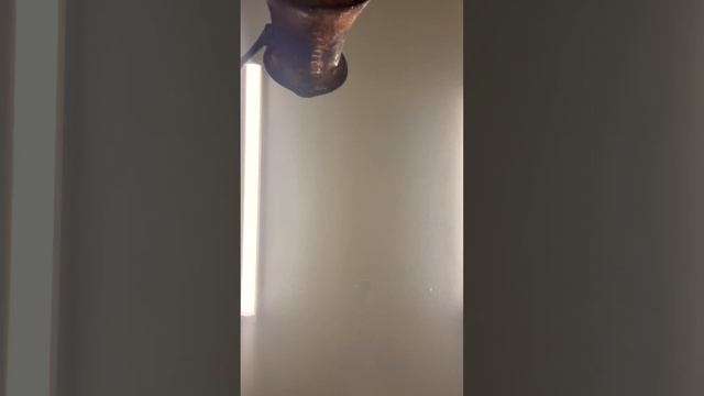 ¡Prepárate para refrescarte con nuestra deliciosa limonada de azahar! смотреть онлайн