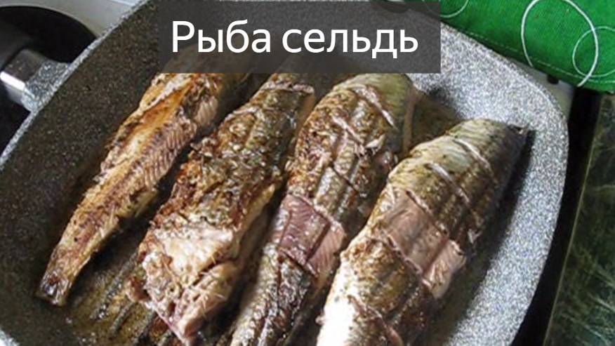 Сельдь. Рыба. Свежемороженая. Как приготовить селедку. Вкусно. На сковороде. Жаренная рыба. Рецепты смотреть онлайн