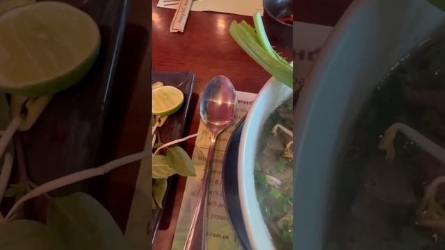Суп Фо с сырым мясом#yuyurooms #yuyuroomsfood смотреть онлайн
