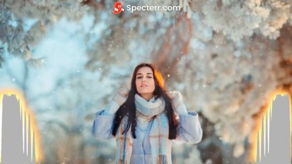 MC Dima Remix Such a whole