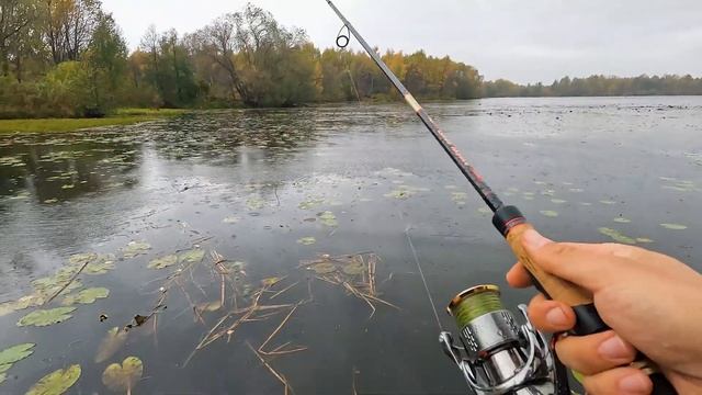 Борьба с непогодой в Щукино