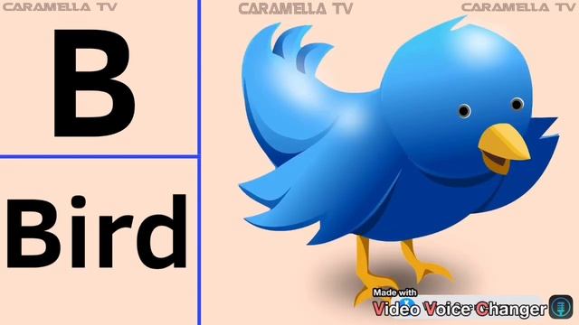 Words That Start With Letter A + Educational Videos @caramellatv9149 #vocabulary #abcd
