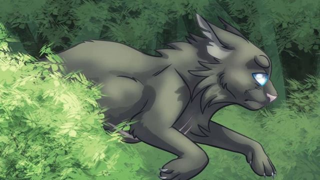 Кошачьи Истории -- Айси, Маркиз и Мотя | Нет, я не люблю | 7 & 19 смотреть онлайн