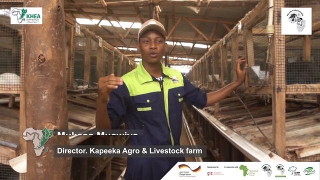 Meet Africa's Organic Farmers from Uganda -Combined #FarmersOfAfrica #KHEA смотреть онлайн