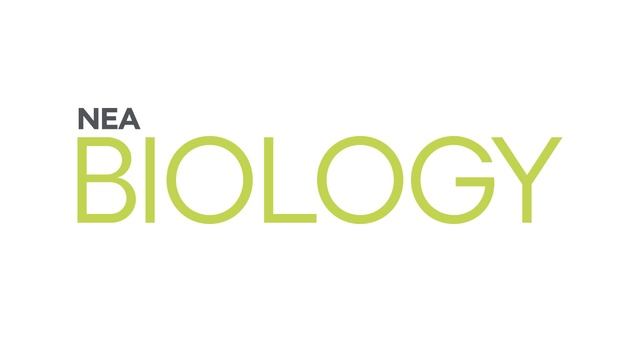 A-Derma | ΝEA σειρά περιποίησης προσώπου BIOLOGY смотреть онлайн