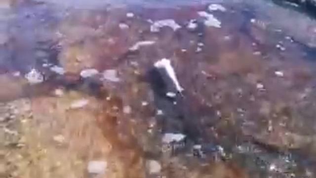 Видео0029 сознательные рыбаки актау смотреть онлайн