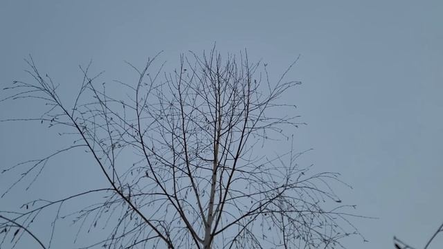 Свое производство | Работа кипит смотреть онлайн