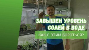 Как снизить PPM воды? | Как сэкономить на очистке воды для Микрозелени и Бэби Лиф | Народные Семена