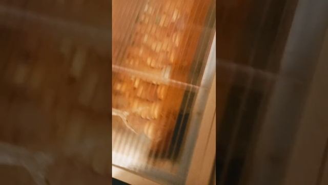 Инкубация день 6. #инкубация #инкубацияяиц #инкубатор #нормалуппер72 #вашаферма #цыплята #несушки