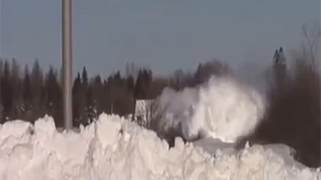 Вот тебе и кыс-кыс-кыс смотреть онлайн