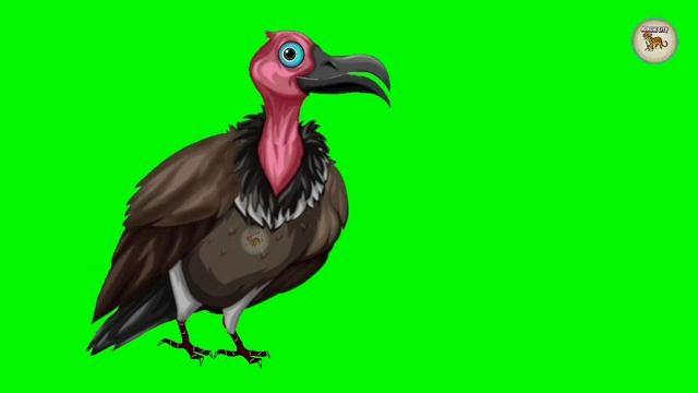 Green Screen Khooni Cheel |Part-2| Cheel cartoon character | Talikng pose | free for my Subscribers смотреть онлайн