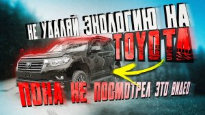 Чип тюнинг дизельного Прадо из Японии во Владивостоке. Удаление ЕГР и отключение мочевины AdBlue