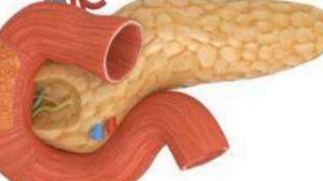 Pankreatit Kasalligi✿❀Панкреатит касаллиги