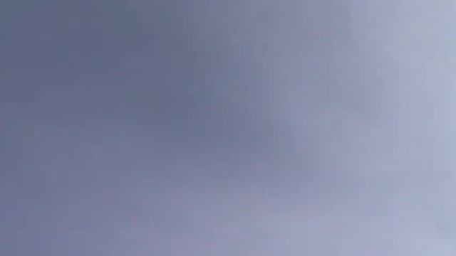 Николаевские голуби смотреть онлайн