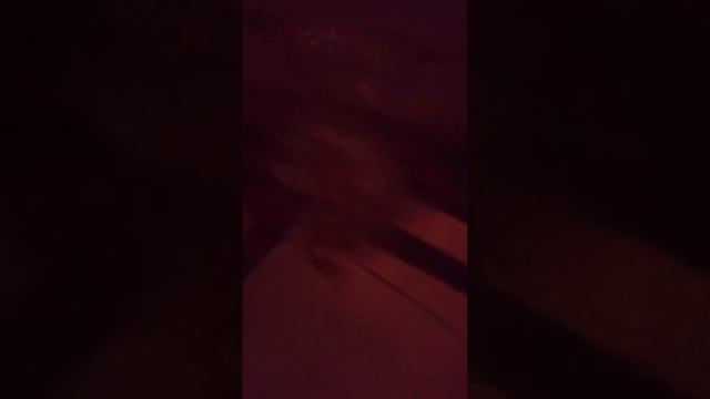 Найти чёрную Кошку в тëмной комнате... а так же серого Кота !!! смотреть онлайн