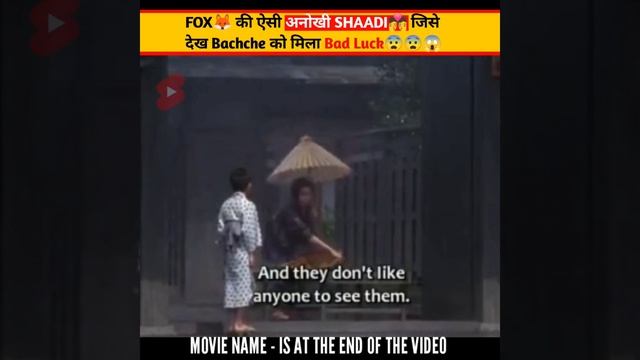 इस Jungle में होता हैFox🦊 की शादी💒 #shorts #short смотреть онлайн