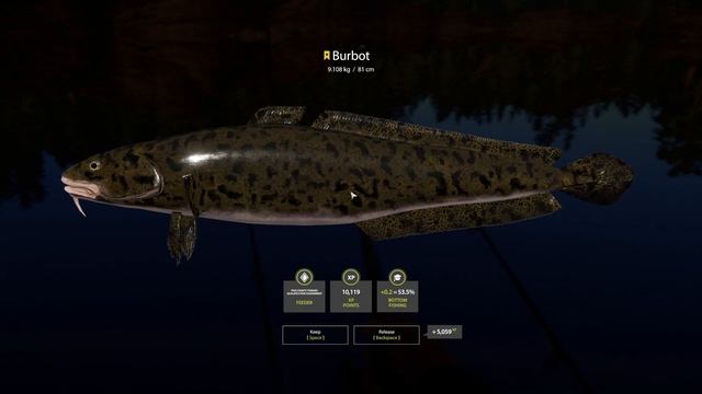 Trophy Burbot Kuori Lake Russian Fishing 4 2020 HD смотреть онлайн