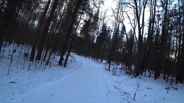 Морозным солнечным днём на Липовку. Последние дни календарной осени. Пермь. 28 ноября 2024 смотреть онлайн