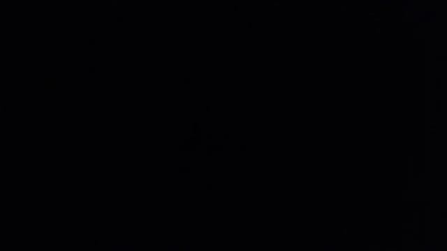 Потряси свойим хвостом смотреть онлайн