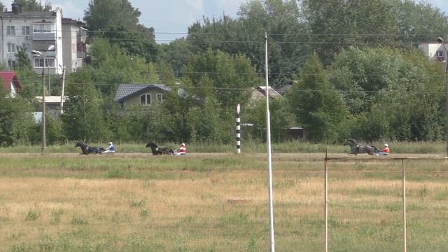 Раменский ипподром 13.07.2018 - Лошади 2015 г.р. рысистых пород смотреть онлайн
